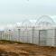 Galvanized steel structure glass cover used commercial greenhouses
