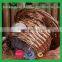 new FSC/SEDEX audited square rattan flower pot