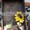 wooden crates vegetables fruits wooden crates