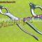 Tooth Extracting Forceps Surgical Dental Instruments