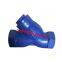 Cast Iron Y Type Strainer