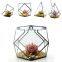 geometric terrarium geometric glass terrarium wholesale