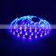  express China waterproof IP65 RGB led strip kit 5050 led strip