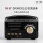 Multi color fm radio bluetooth speaker , mini portable speaker with fm radio