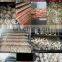 2020 hot selling Fruit vegetable Freeze Dryer Vacuum Freezing Dryer Machine Frozen Dryer