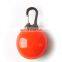 2020 amazon hot sale  factory supply New Pet Products pet light