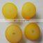 Custom made rubber shock absorber-polyurethane damper
