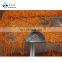 Sinocharm BRC A approved 4-8CM IQF Carrot Strip Frozen Carrot Strip