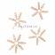 Durable simple and useful wooden clothes pegs