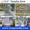 lingyue high quality fast speed gem stone cutting machine