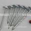 competitive price BWG10X2.5" roofing nails