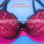Plus Size Bra, High Quality Bra