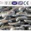 G80 electric-galvanized loaing chain