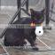 mini pet digital camera with 30K pixel, PC camera