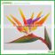Real touch PVC flower wholesale popular classical artificial bird of paradise flowers