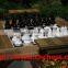 big chess game