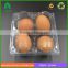 Supply 4 hole egg blister tray