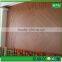 Green world wpc fence indoor/outdoor /planing /nailed