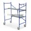 High Quality Mobile Steel Scaffold