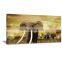 Frame Elephant Animal Printed Canvas Painting Picture Art Livingroom Decor DWYS42