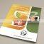 Full color custom Accordion Fold Flyer Printing