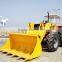 (YZ)Agricultural Industrial Loader