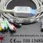 Biosys BPM-103 ECG 5 Lead Cable and Leadwires ODU6pin IEC Clip