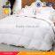 5 Star Hotel Used Super Soft Quilted Style Luxury Goose Down Duvet Wholesale Goose Down Quilt