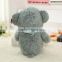 Promotional Factory Price Fancy Newest Cute Teddy Bear Factory China