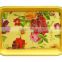 Hign quality rectangle ps food holding plate