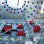 Green color PVC zorb ball,Inflatable Human Bubble Zorb color custom-made