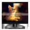 chinese shenzhen full hd 19"monitor with accessories