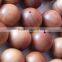 japa-mala-wood-beads/sandalwood beads/loose wood beads