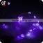 Wholesale Festoon Lighting Unique Shape Outdoor Led String Light