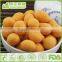 HACCP,ISO,BRC,HALAL Certification Natural Wasabi Peanuts with best quality and hot price
