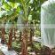 White Color Non-woven Breathable Eco-Friendly Banana Bunch Cover