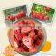 Freeze-Dried Strawberry Slice