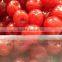 Cheap Red,Green,Black Cherry Maraschino