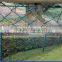 Hot Dipped Galvainzed Powder Coated Chain Link Fence Panels