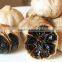 Low Price black garlic Fermented with best quality and low price