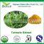 Reliable Supplier Turmeric Curcumin Powder with Curcumin 95%