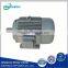 Explosion-Proof Three Phase Induction Motor
