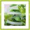 Paking Tape pp Packing Tape Printing Packing Belt Press With Packing Belt Yesllow Carton Strapping