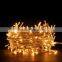 Waterproof AC24/110/220 led string lights christmas 100 led light