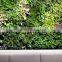 Eco-friendly artificial plant wall ,artificial vertical green wall, grass wall indoor or outdoor