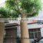 foliage plants decorative artificial banyan tree