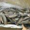 Frozen Sardine Fish