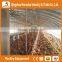 Heracles Best Selling Trade Assurance Chicken Poultry Farm/house Equipment for Broiler