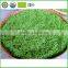 High-grade and nutritious green tea / easy to use made in China