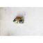 Sinotruk 2011 HOYUN Truck Part Cigarette Lighter